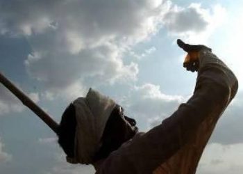 જો આવું થાય તો જિલ્લામાં પાક નિષ્ફળ જાય!!