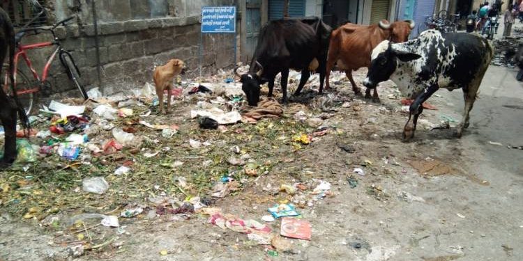જોઈ લો…મેયરનો વોર્ડ કેવો ચોખ્ખોચણાક છે…!!