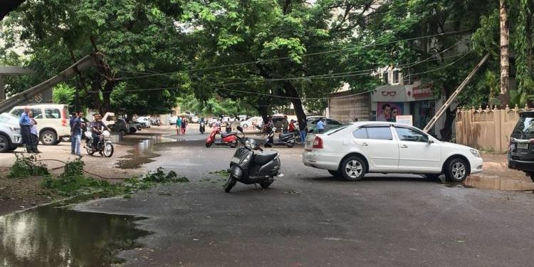 પાર્ક કોલોની નજીક એક વૃક્ષ અને ચાર થાંભલાઓ પડી ગયા…