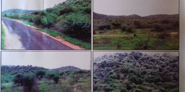 સરકારને ભીંસમાં લેવા કોંગ્રેસ ની કમિટી પરડવા નું જમીન કૌભાંડ ઉખેડશે…!