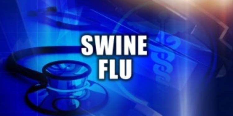 રાજકોટમાં સ્વાઇન ફ્લૂના કારણે અત્યાર સુધીમાં ૩૧ ના મોત