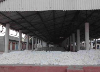 જિલ્લાના વધુ એક યાર્ડ પર ભાજપનો કબ્જો યથાવત