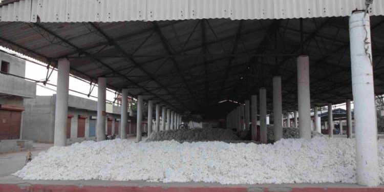 જિલ્લાના વધુ એક યાર્ડ પર ભાજપનો કબ્જો યથાવત