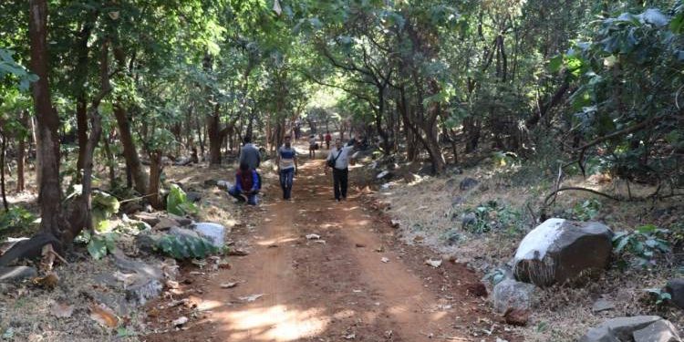 લીલી પરિક્રમા બનશે પાણી વગર સૂકી પરિક્રમા?જાણો કેવી છે તંત્રની તૈયારીઓ