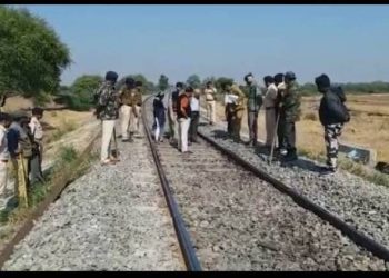 અમરેલી નજીક ત્રણ સિંહના ટ્રેન હડફેટે મોત…