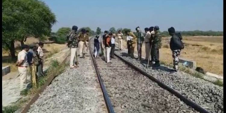 અમરેલી નજીક ત્રણ સિંહના ટ્રેન હડફેટે મોત…