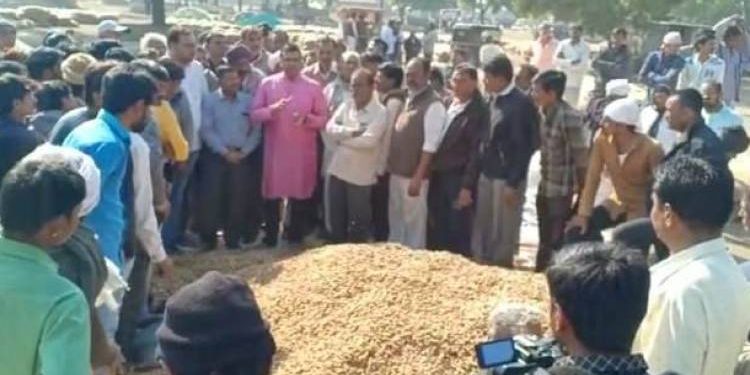 ગુણવતાવાળી મગફળી પણ ખરીદ કરવામાં ના આવતા ધારાસભ્ય પહોચ્યા યાર્ડે..