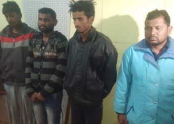 રાજવી પેલેસની રેકી કરી અને ચોરીની ઘટનાને અંજામ આપતી હતી આ ગેંગ