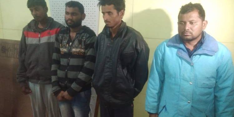 રાજવી પેલેસની રેકી કરી અને ચોરીની ઘટનાને અંજામ આપતી હતી આ ગેંગ