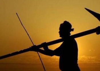 રાજ્યના ખેડૂતો માટે આવ્યા આ મહત્વના સમાચાર..