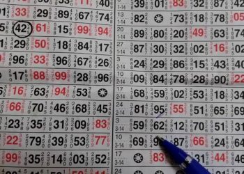 વોટ્સએપ પર રમાતો હાઈટેક વરલી મટકાનો જુગાર ઝડપાયો