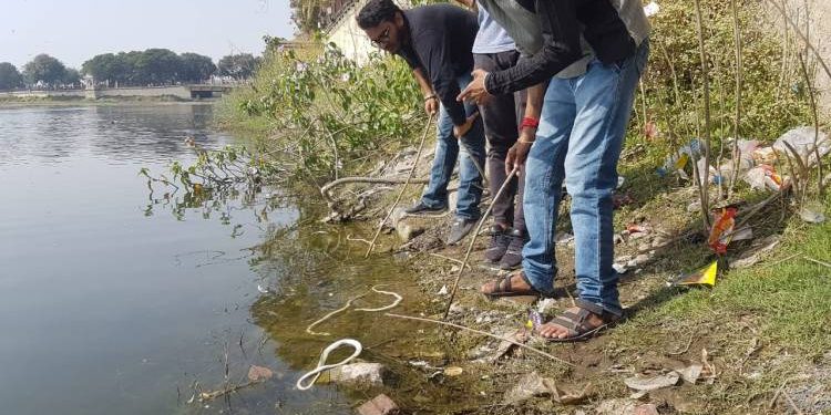 લાખોટાતળાવમાં જળચરજીવો મોતને ભેટ્યા..