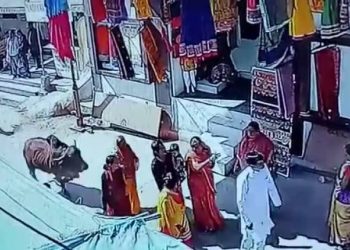 ચેતજો..દ્વારકા જાઓ ત્યારે કઈક આવું ના થાય
