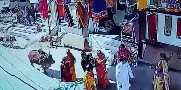 ચેતજો..દ્વારકા જાઓ ત્યારે કઈક આવું ના થાય