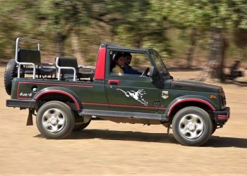 ગીર ફોરેસ્ટમાં હવે મહિલાઓ પ્રવાસીઓને કરાવશે સિંહ દર્શન,જાણો કઈ રીતે 