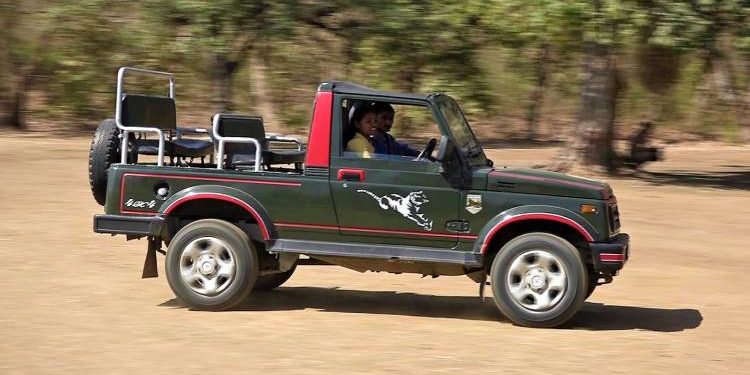 ગીર ફોરેસ્ટમાં હવે મહિલાઓ પ્રવાસીઓને કરાવશે સિંહ દર્શન,જાણો કઈ રીતે