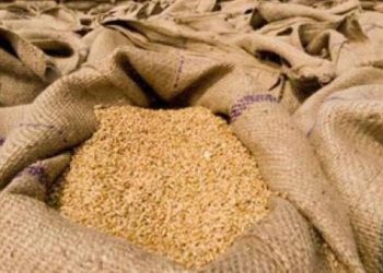 જામજોધપુર મામલતદારના દરોડા, ઘઉંનો જથ્થો ઝડપાયો