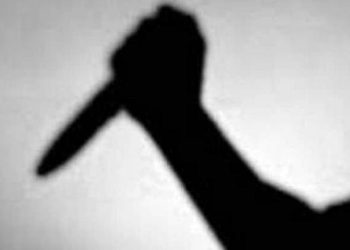 માતાપુત્રીની કરપીણ હત્યા,રાજ્યભરમાં ચકચાર