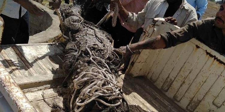 ૧૧ ફૂટના મગરનું કુવામાંથી કઈ રીતે થયું રેસ્ક્યુ, જુઓ VIDEO