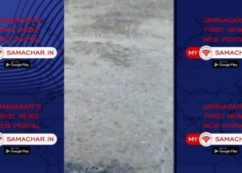 જામનગર:જુઓ VIDEO ક્યાં પડ્યા કરા..?