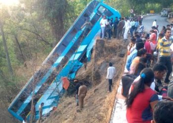 એક વૃક્ષે ૭૦ લોકોને જીવનદાન આપ્યું