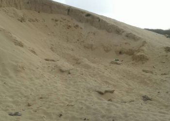 કલ્યાણપુરમાં તંત્ર રેતીની ખનીજચોરી પર પાડવા ગયા દરોડા અને…