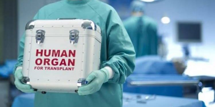 ગુજરાતમાં પ્રથમવાર બન્યું આવું કે ફેફસાનું પણ થયું દાન..