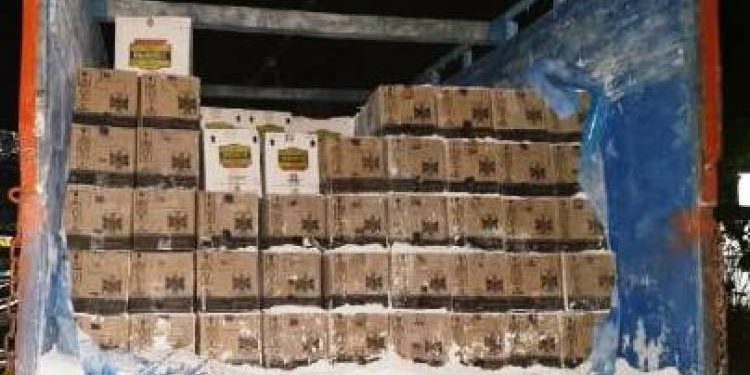 જામનગર અને દ્વારકા જિલ્લામાં ૨ વર્ષમાં ઝડપાયો આટલો દારૂ,અને આટલા આરોપીઓ