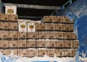 મરી મસાલાની આડમા ગોવાથી દારુ ભરીને લવાઈ રહ્યો હતો 