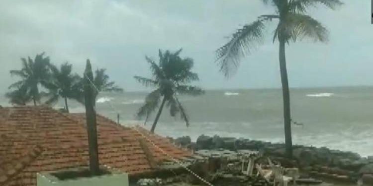 વાવાઝોડાથી પ્રભાવિત જિલ્લાઓમાં નાળિયેરી-કેરી-આંબા સહિતના બાગાયતી પાકોના વૃક્ષો પૂન:સ્થાપિત કરવા કૃષિ વૈજ્ઞાનિકો અસરગ્રસ્ત જિલ્લામાં જશે