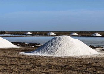 મીઠાની લીઝ પેટામાં અપાતી હોવાની સ્ફોટક રજૂઆત..