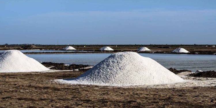 મીઠાની લીઝ પેટામાં અપાતી હોવાની સ્ફોટક રજૂઆત..