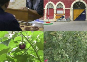 જેલમા પણ થાય છે ખેતી,જાણો શું ઉગાડવામાં આવે છે,