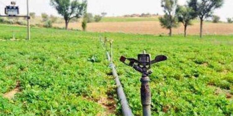 દેવભૂમિ દ્વારકા જિલ્લામાં 143 ટકા વરસાદ થતાં પાક-પાણીનું ચિત્ર ઉજળું