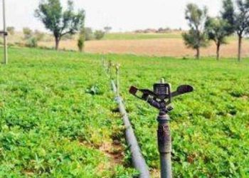 જિલ્લાના આટલા ખેડૂતોને પાકનું વળતર મળ્યુ નથી…