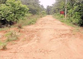 ખેડૂતો જમીન આપે તો રોડ બને..!