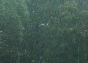 શું ફરીથી વરસાદની શક્યતા..?