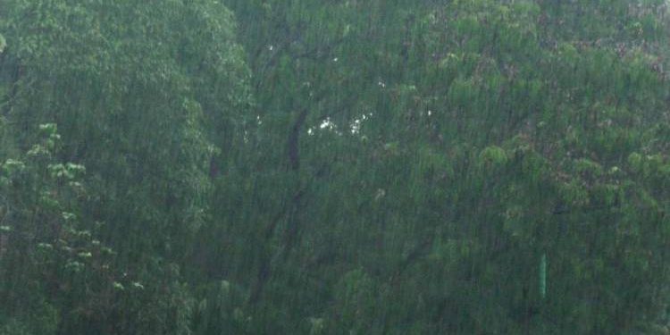 જામનગર જિલ્લામાં આજે ક્યાં પડ્યો કેટલો વરસાદ