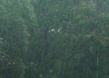 જામનગર જિલ્લામા ૭૦% જેટલા વરસાદથી લોકોને  હાશકારો