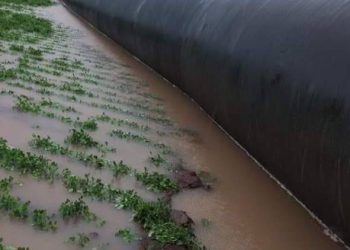 સંવેદનશીલ સરકારની “સૌની” ના પાઇપમાથી ભ્રષ્ટાચાર ઉછળ્યો.?