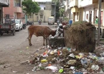 જામનગર શહેર જિલ્લાની ગંદકી રોગચાળા નિયંત્રણના થાય છે માત્ર દાવાઓ…