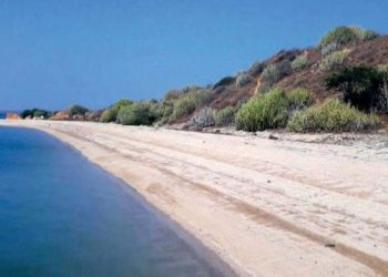 દ્વારકા જિલ્લાના ટાપુઓ પર જાહેરનામાની થાય છે અમલવારી.? ક્યાંક સોફ્ટ ટાર્ગેટ ના બની જાય..