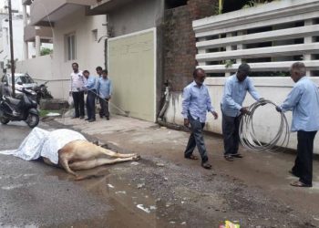 ભાજપના પૂર્વ કોર્પોરેટરે  PGVCL અધિક્ષકને પત્ર લખ્યો કે…. 