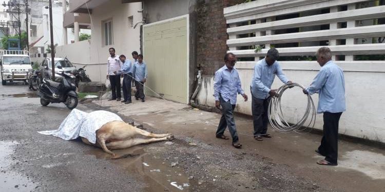 ભાજપના પૂર્વ કોર્પોરેટરે  PGVCL અધિક્ષકને પત્ર લખ્યો કે…. 