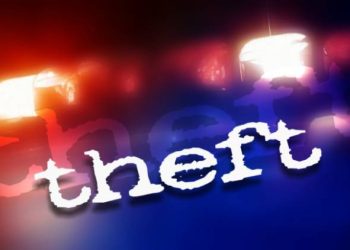 100 થી વધુ ચોરીને અંજામ આપનાર VIP ચોર ઝડપાયો 