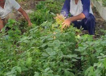 મરીન કમાન્ડો દ્વારા યોજાયું સફાઈ અભિયાન 