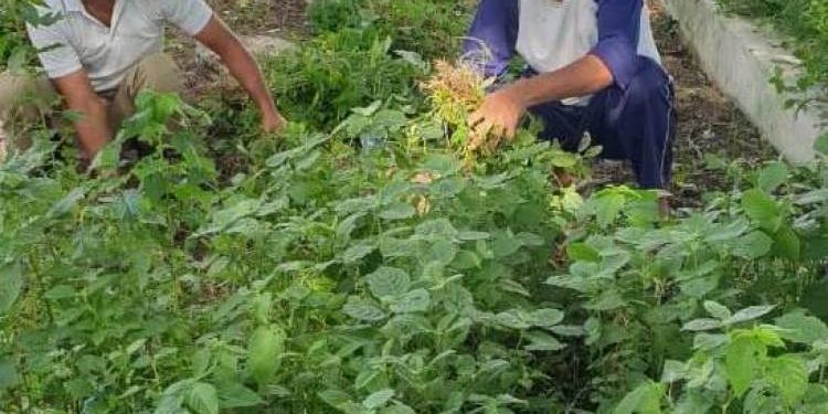 મરીન કમાન્ડો દ્વારા યોજાયું સફાઈ અભિયાન