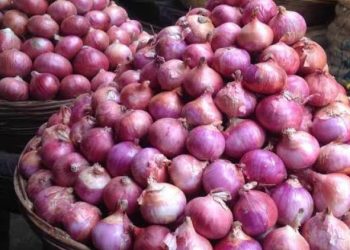 ડુંગળીના વધી રહેલા ભાવોને લઈને મંત્રી જયેશ રાદડિયાએ કહ્યું કે…