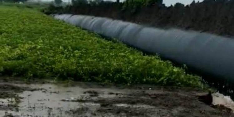 સાહેબ અમારા પાકનું….શું? ખેડૂતોની વેદના..