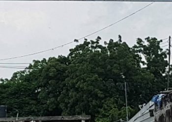 એક માસની અંદર કાલાવડ માર્કેટિંગ યાર્ડની એક બેઠકની પેટાચુંટણી જાહેર કરવા હાઈકોર્ટનું ફરમાન..